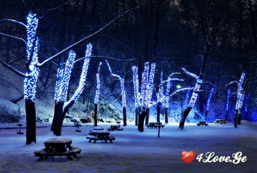 Snow and New Year