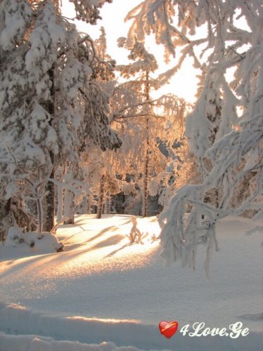 Snow and New Year