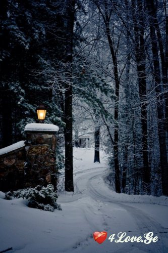 New year is coming,stay with me!