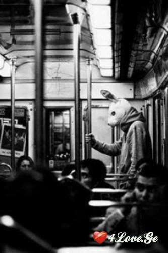 Dont Cry,Just Say Fuck You And Smile (1)