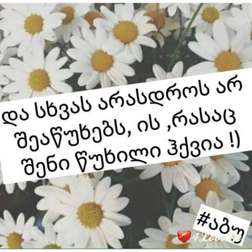 Ты мой кайф