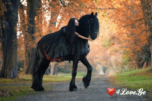 ჩემი მეფე, ჩემი ჩარკვიანი..! 3