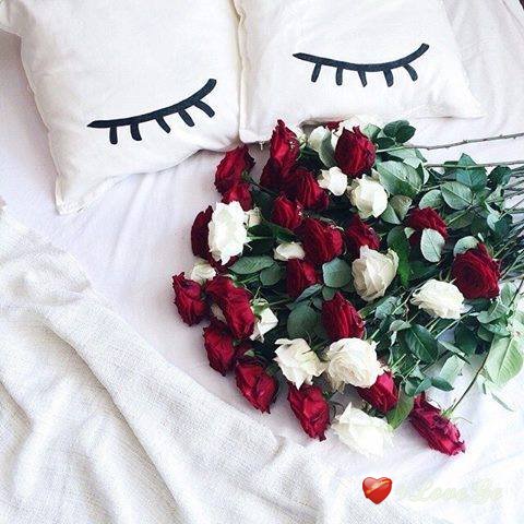 Be my valentine