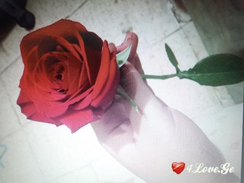 Be my valentine