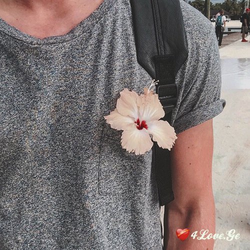 ვირტუალური მუხტი 