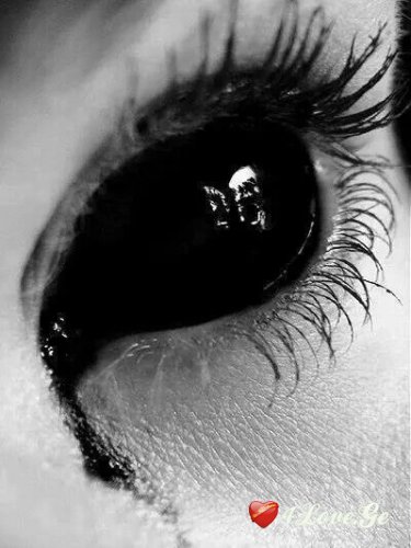 Dark Desire