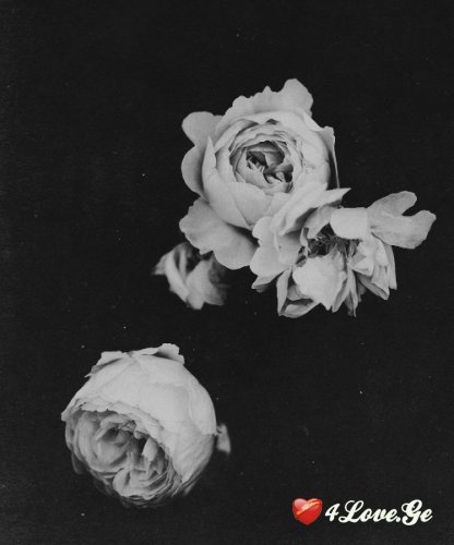 Dark Desire