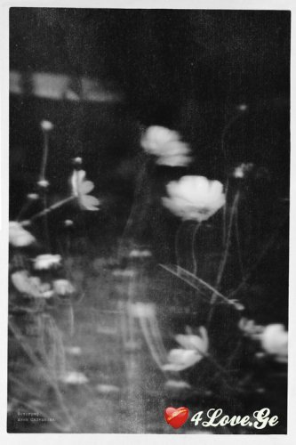 Dark Desire