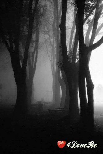 Dark Desire