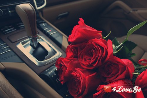 What Girls/Boys Wants.