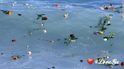 სათნოების ორმოცდაათი ელფერი