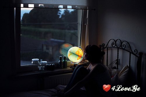 ფრეზია და კედარი (გაგრძელება 13)