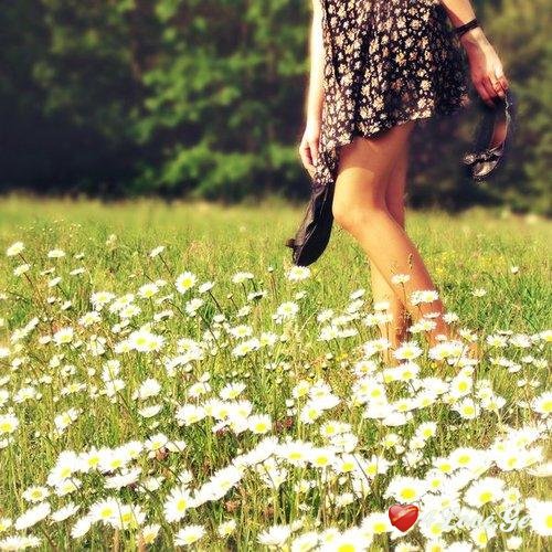 ყვითელგულა!