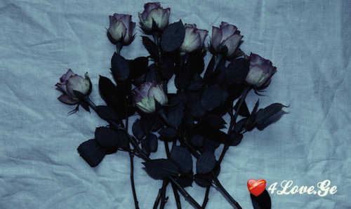 and, I`m sad. again #1