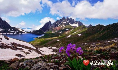 მო'იისფრო