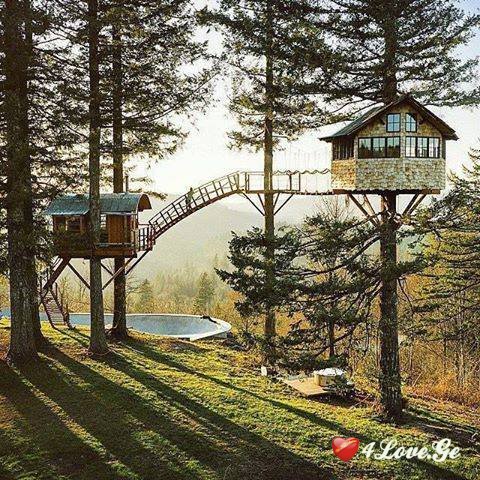 სიმშვიდე.. სიწყნარე.. თავისუფლება..