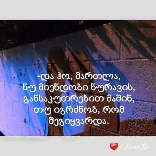 ყველანაირი ფოტოები#3