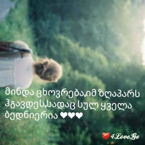 ციტატები