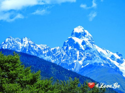 სხვისი მისაბაძი რა მჭირს, – თვარა, – კი!..
