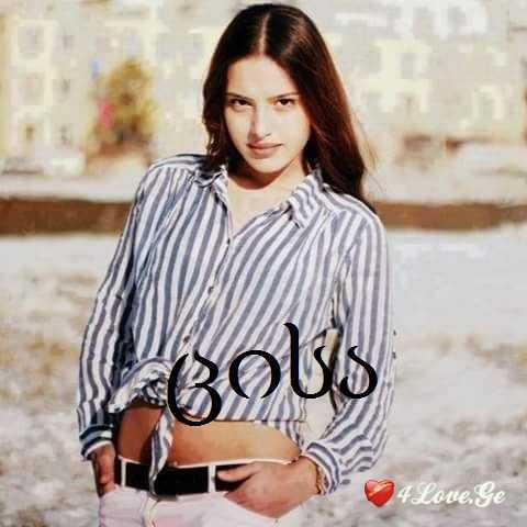 ველური ჩხვლეტა -3-
