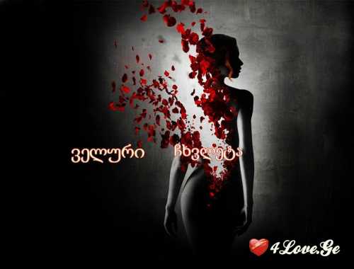 ველური ჩხვლეტა -5-