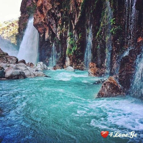 სიკვდილის მორცხვი ფერები