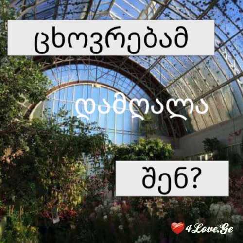 რას ფიქრობ?