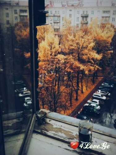 შემოდგომისფერი გქვია!