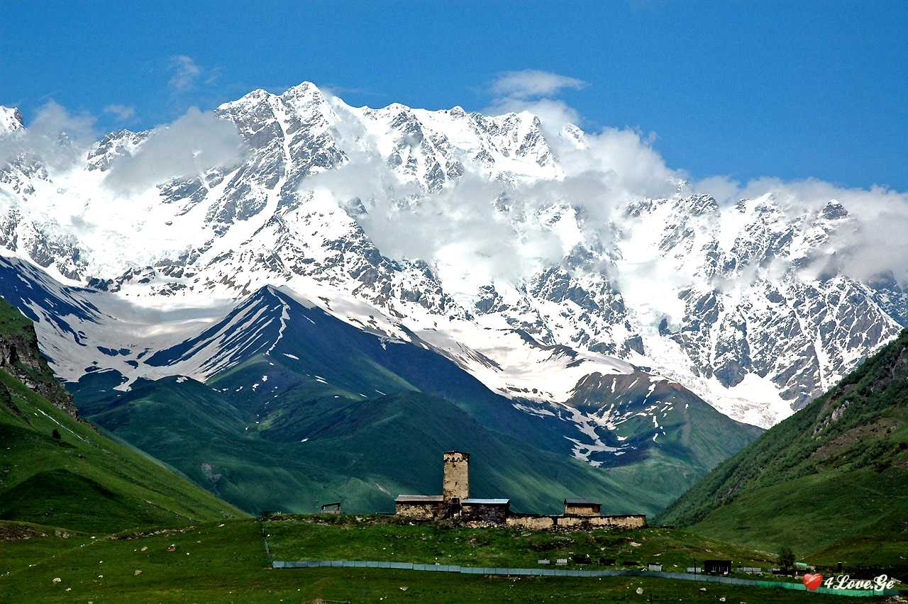 სვანური ვერდიქტი (18 თავი)