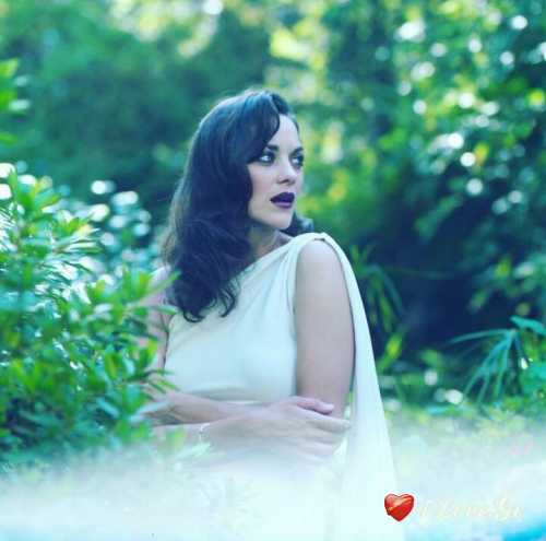 ფერთა ქაოსი (2)
