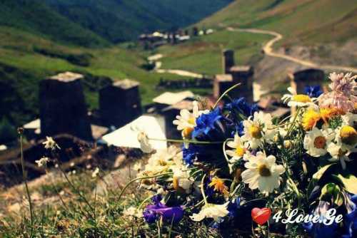 სიცოცხლე(ყვავილები)