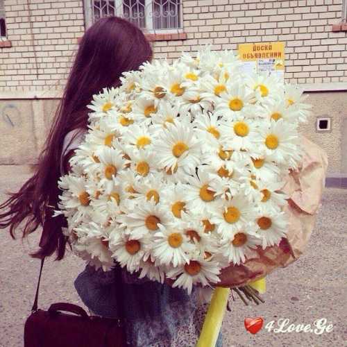 სიცოცხლე(ყვავილები)
