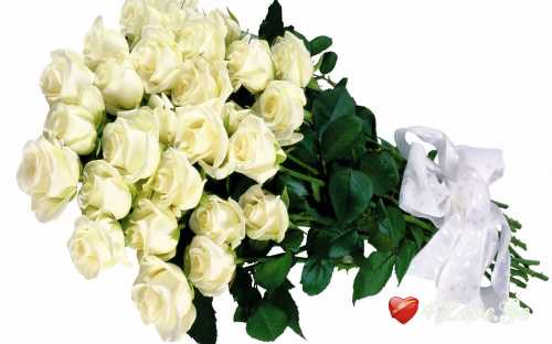 სიცოცხლე(ყვავილები)