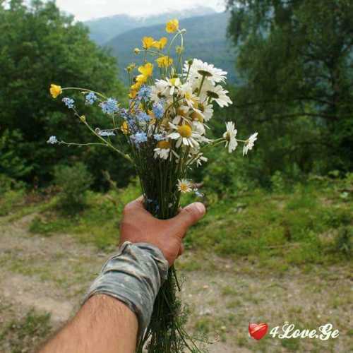 სიცოცხლე(ყვავილები)