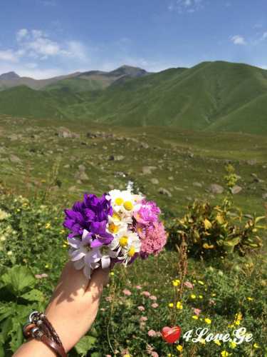 სიცოცხლე(ყვავილები)