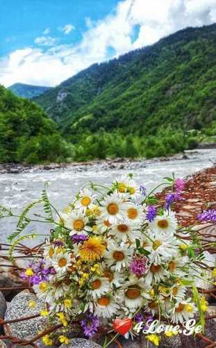 სიცოცხლე(ყვავილები)