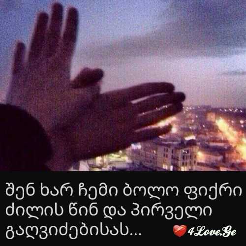 everthing (1)