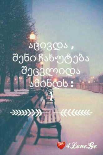 everthing (1)