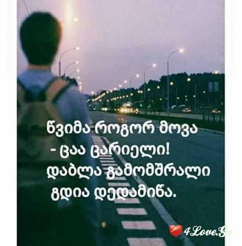 everthing (1)