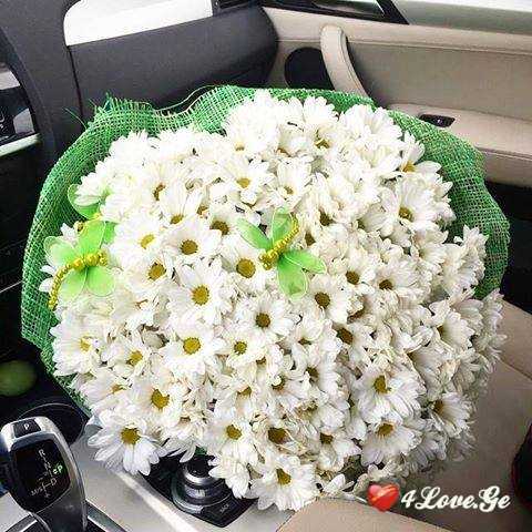გ'ვირილები