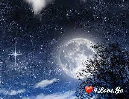 ჩრდილები სიბნელეში(4)