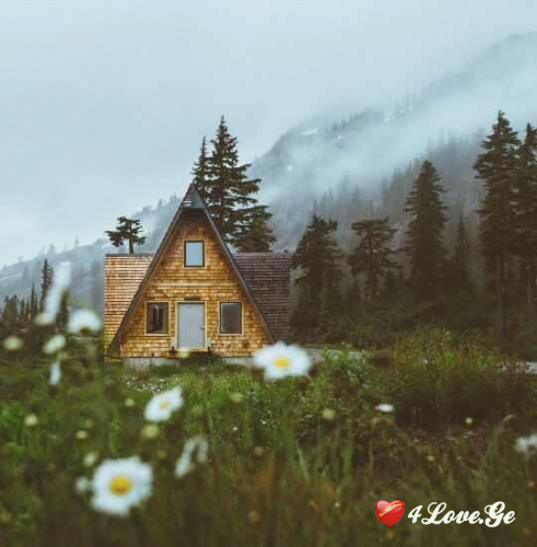 ,,სახლი''