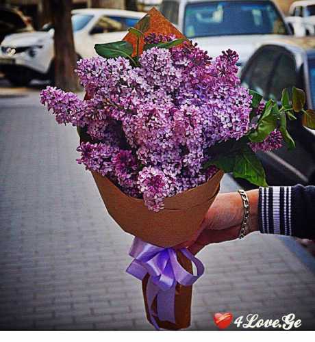 ,,გაზაფხული''