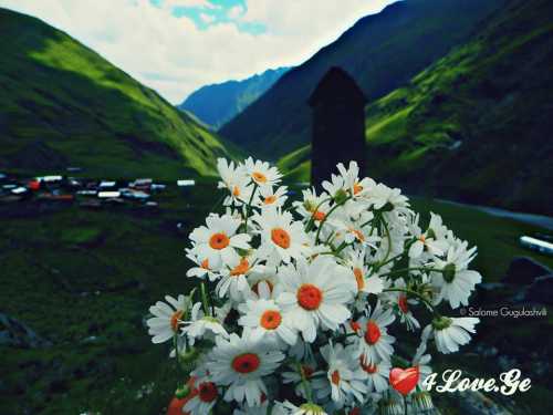 ,,გაზაფხული''