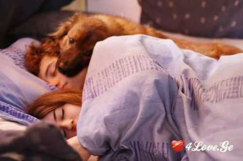 Love Pictures ნ4
