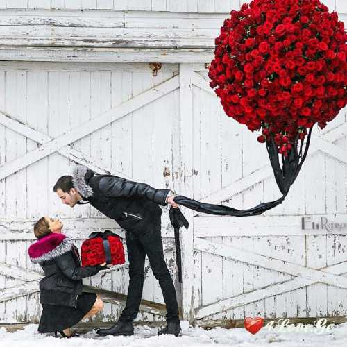 Love Pictures ნ4