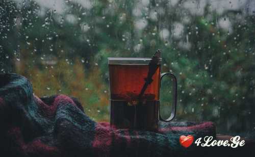 სიმშვიდე.. სიწყნარე.. თავისუფლება..