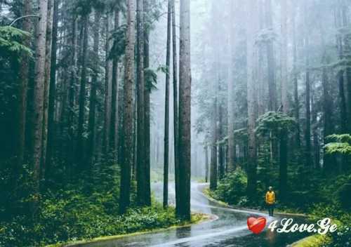 Dream! (თავი3)