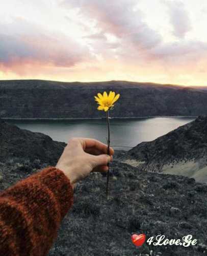 Dream (თავი 6)