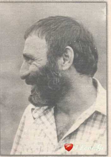 ციტატები